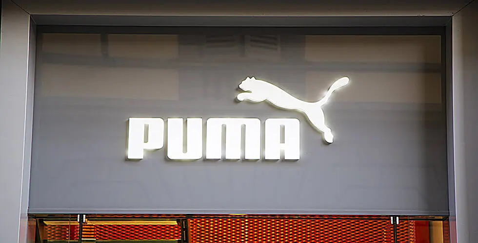 Puma - Der Boden für die Rallye ist gebildet
