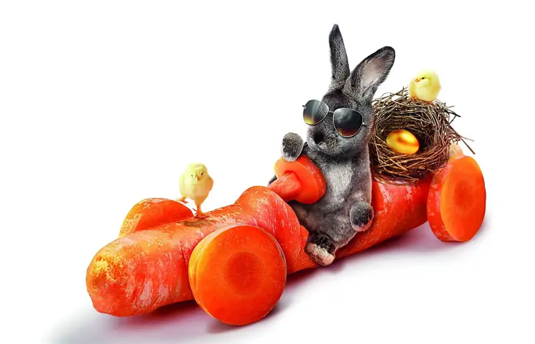 Frohe Ostern!