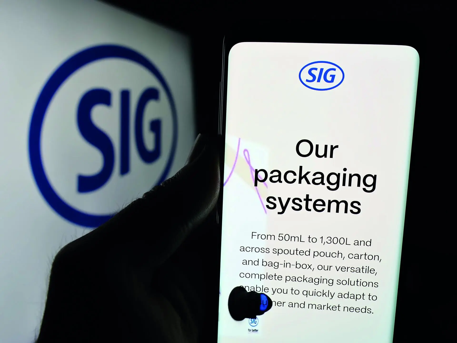 SIG Group - Der Ausblick weckt keine Fantasie